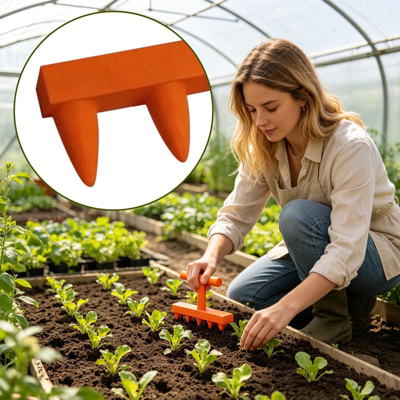 Gardening Tools For Elderly - أداة زرع البذور بخمسة أسنان، أداة