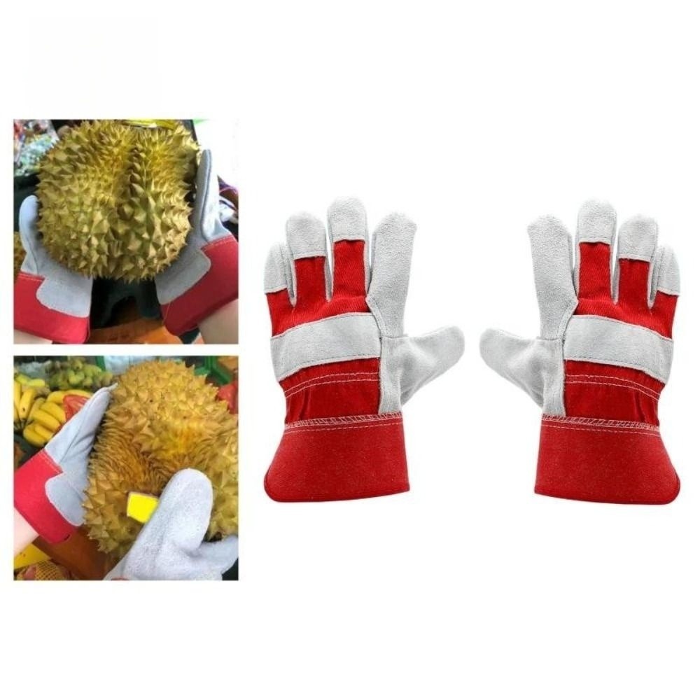 Garden Gloves Thorn Proof - قفازات حدائق من جلد البقر مقاومة
