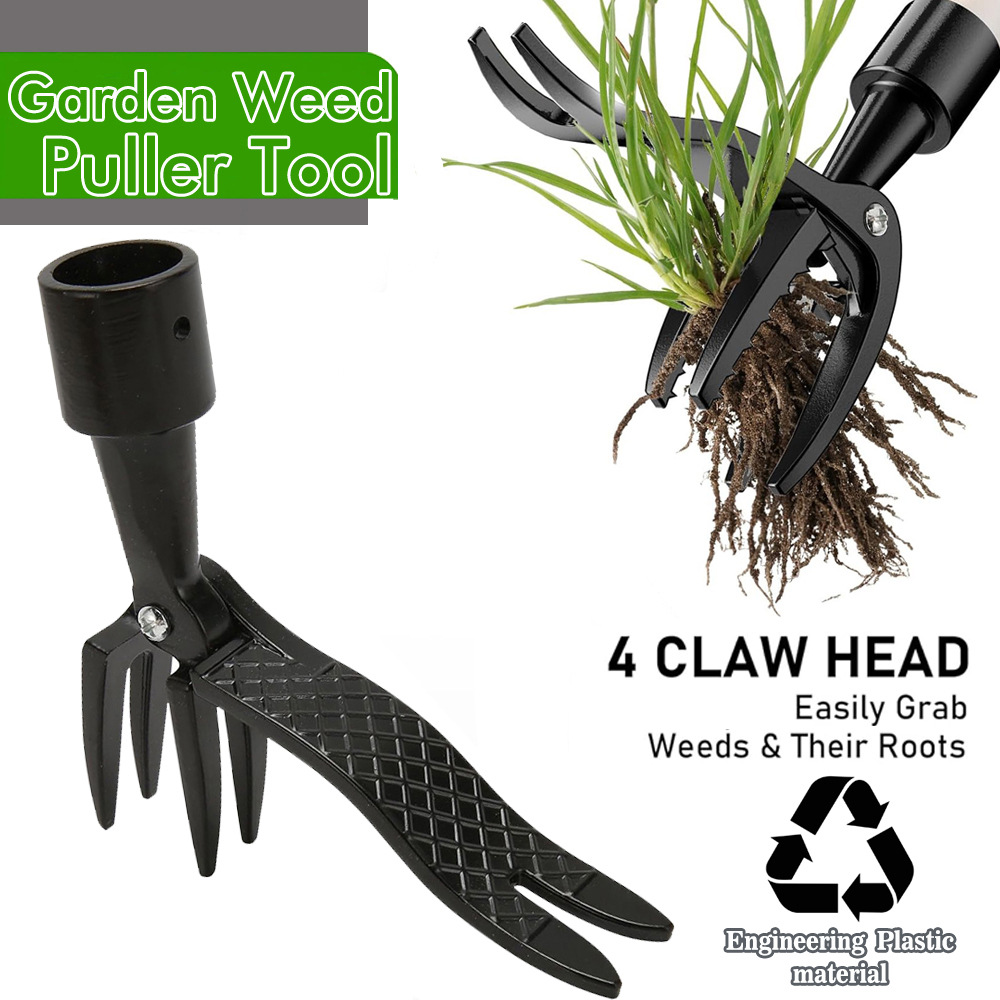أداة إزالة الأعشاب الضارة القا - مراجعة Weed Puller وسعره
