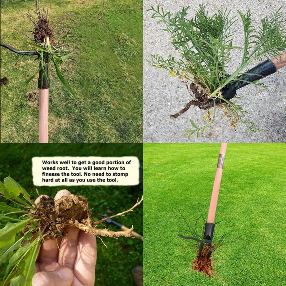 أداة سحب الأعشاب الوقوف تصميم  - مراجعة Weed Puller وسعره
