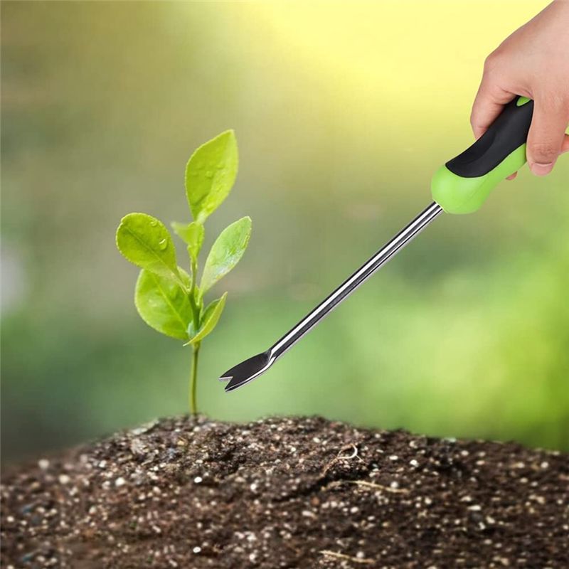 أداة إزالة الأعشاب الضارة من A - مراجعة Weed Puller وسعره