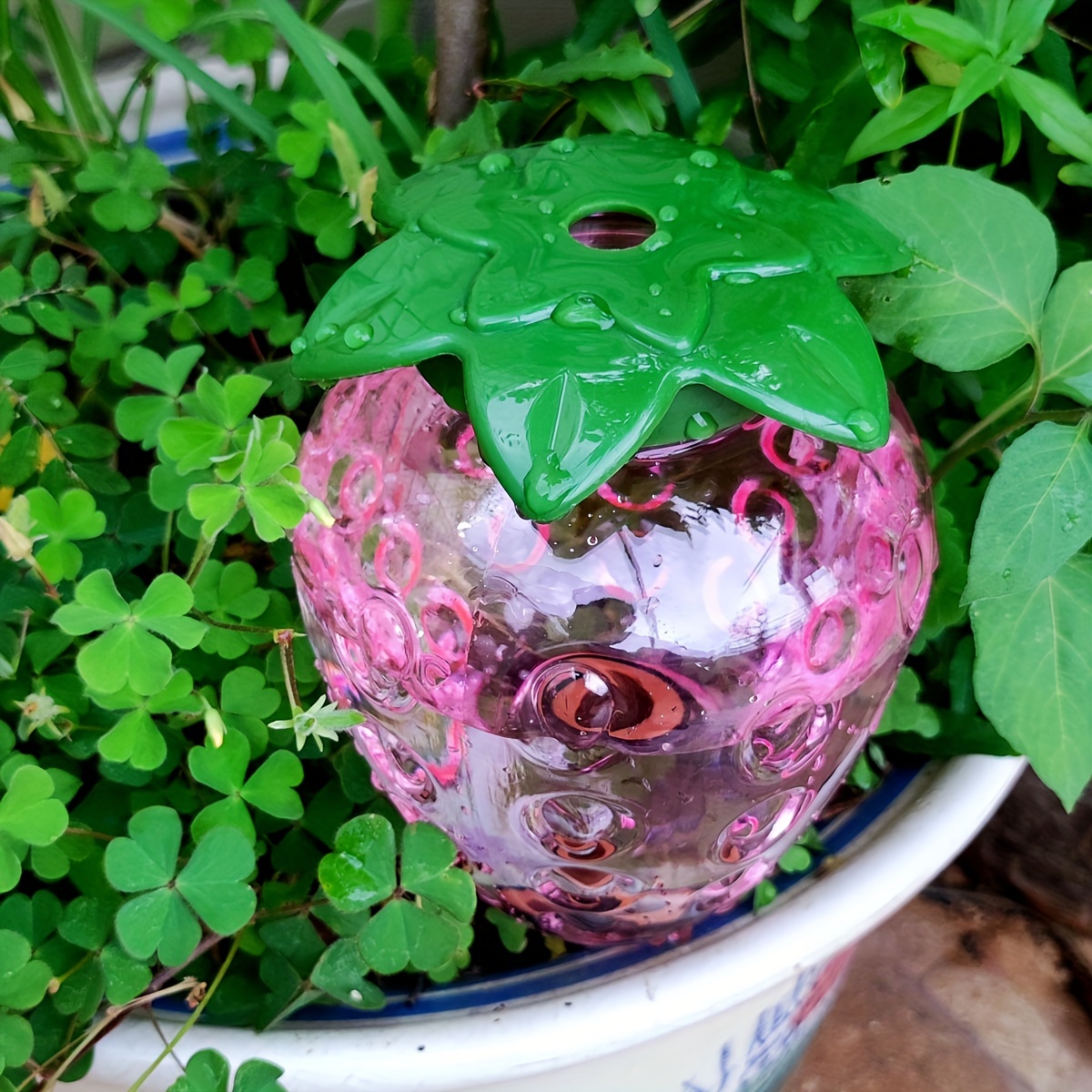نظام ري بالتنقيط أوتوماتيكي دا - مراجعة Gardening Tools For Home وسعره