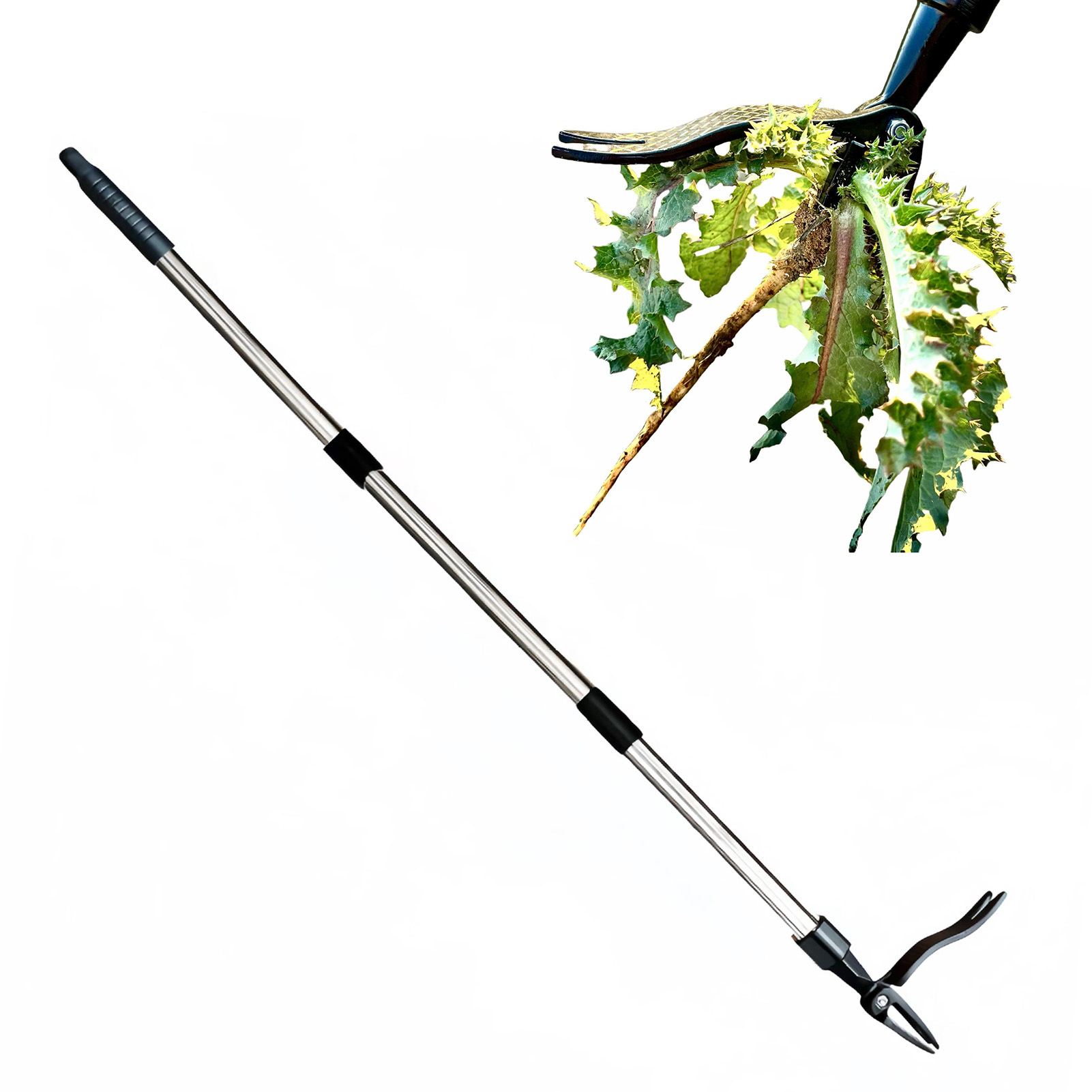 4 مخلب الوقوف الاعشاب مجتذب ال - مراجعة Grass Seed Spreader وسعره