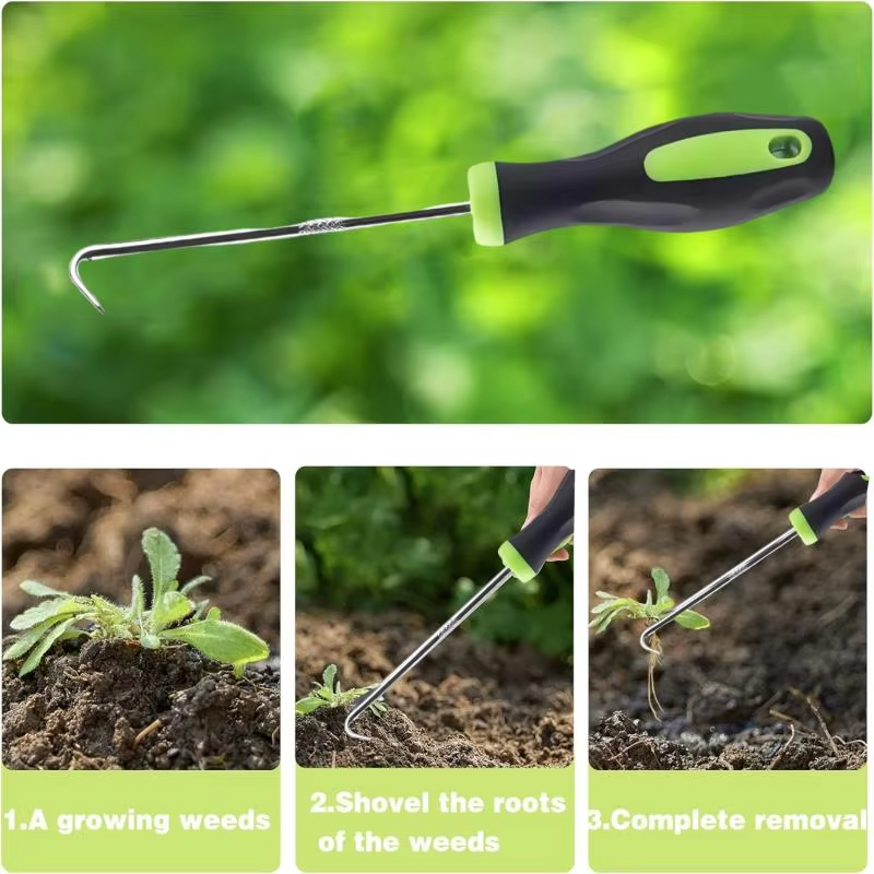 أداة إزالة الأعشاب الضارة يدوي - مراجعة Grass Seed Spreader وسعره