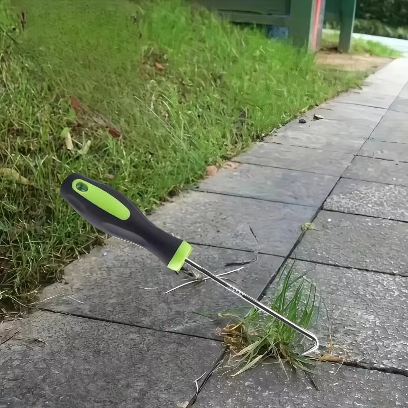 أداة إزالة الأعشاب الضارة يدوي - مراجعة Grass Seed Spreader وسعره