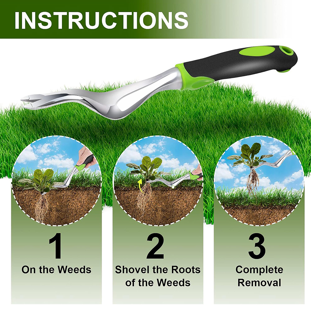 أداة إزالة الأعشاب الضارة اليد - مراجعة Grass Seed Spreader وسعره