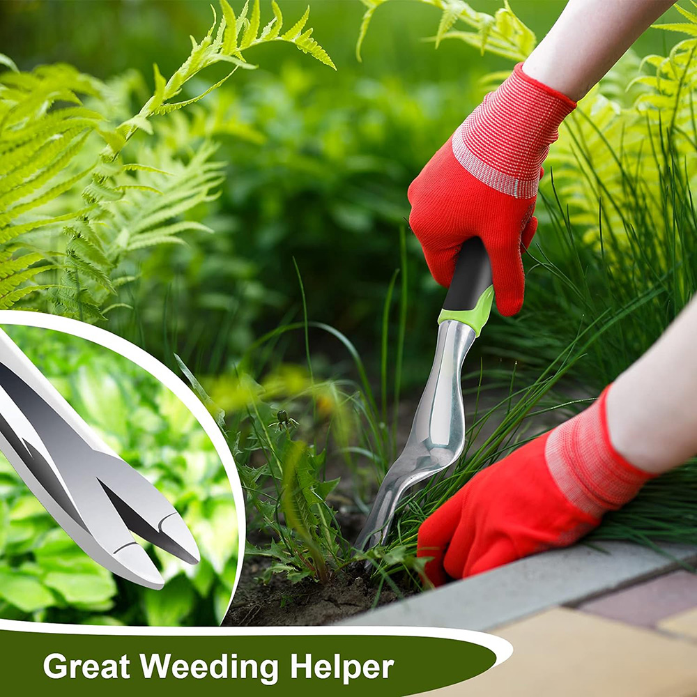 أداة إزالة الأعشاب الضارة اليد - مراجعة Grass Seed Spreader وسعره