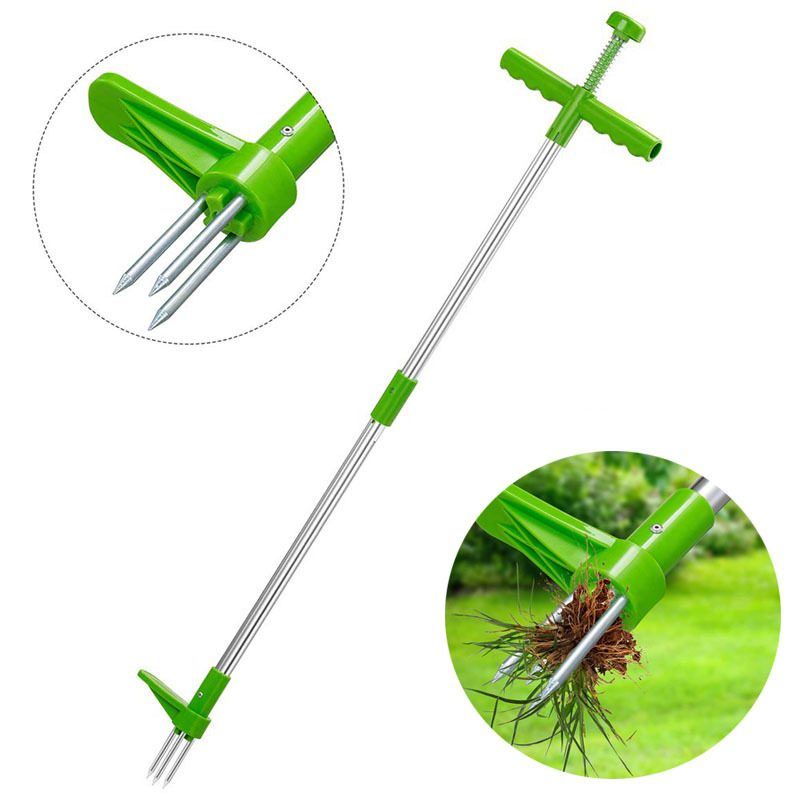 المحمولة مقبض طويل مزيل الاعشا - مراجعة Grass Seed Spreader وسعره