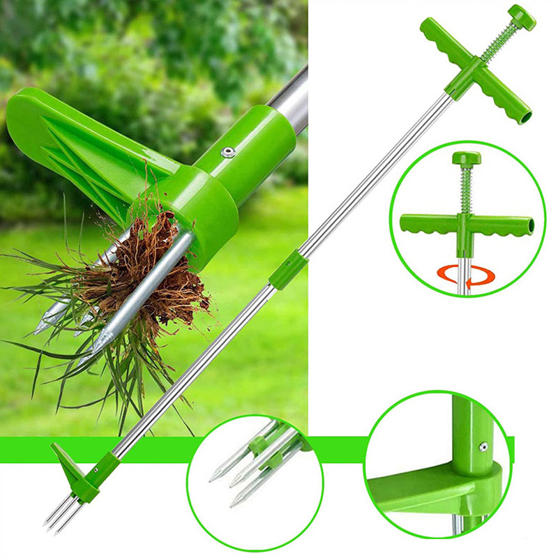 المحمولة مقبض طويل مزيل الاعشا - مراجعة Grass Seed Spreader وسعره