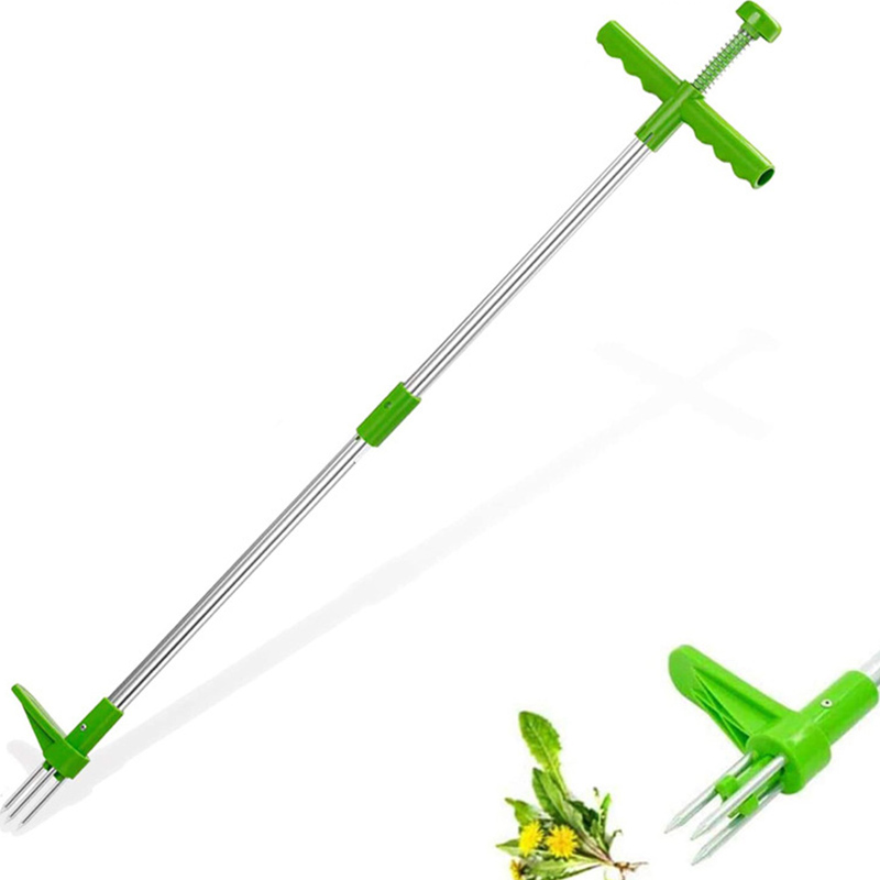 المحمولة مقبض طويل مزيل الاعشا - مراجعة Grass Seed Spreader وسعره