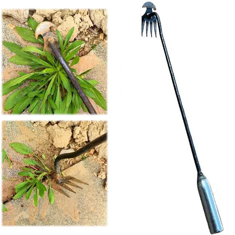 أداة إزالة الأعشاب الضارة اليد - مراجعة Weed Puller وسعره