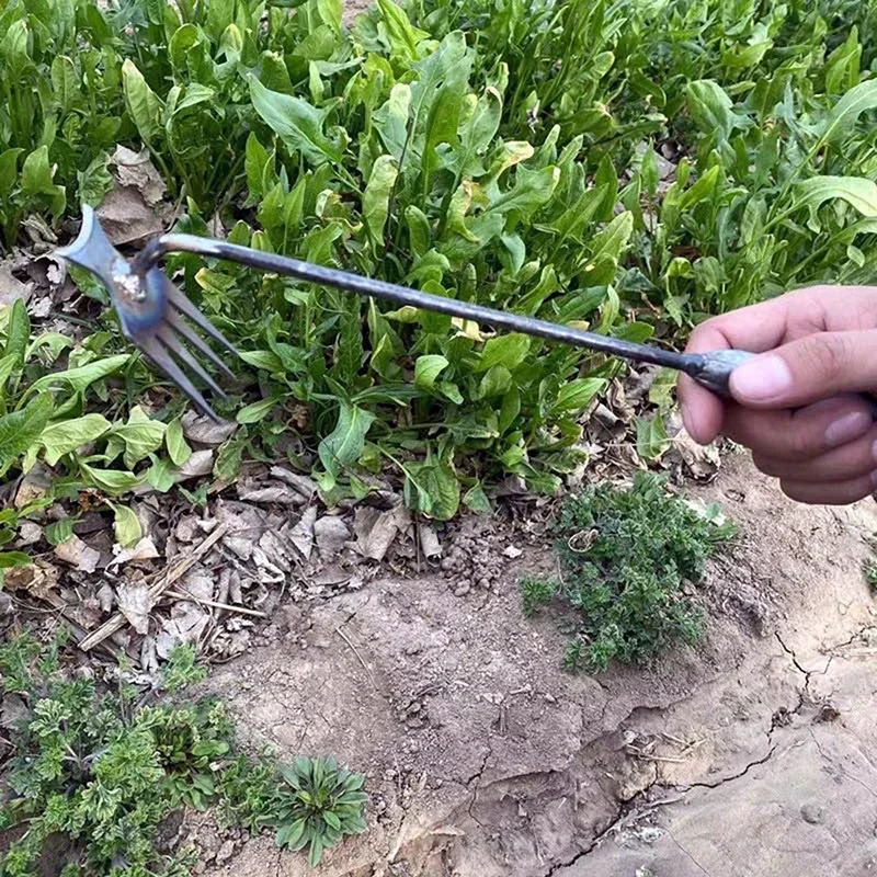 أداة إزالة الأعشاب الضارة اليد - مراجعة Weed Puller وسعره