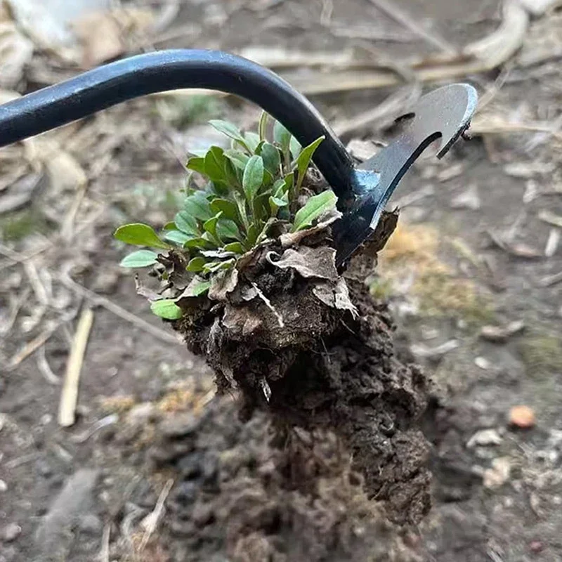 أداة إزالة الأعشاب الضارة اليد - مراجعة Weed Puller وسعره