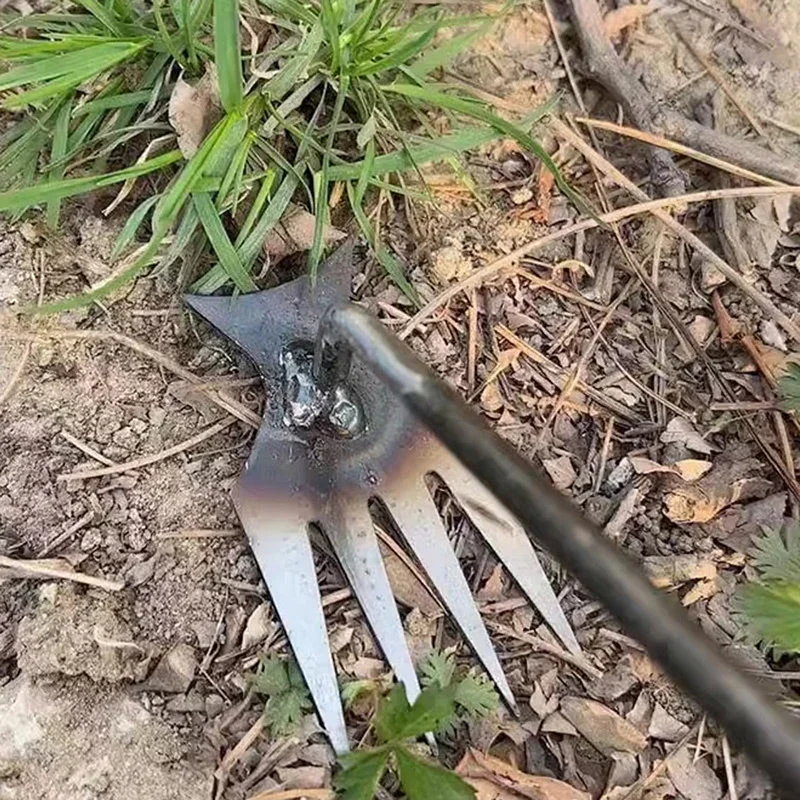 أداة إزالة الأعشاب الضارة اليد - مراجعة Weed Puller وسعره