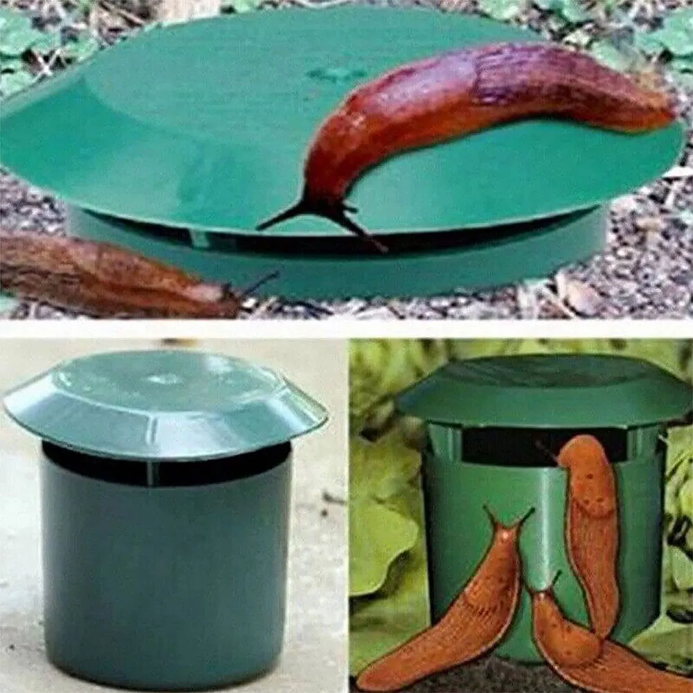 2-12 قطعة مصيدة حلزون صديقة لل - مراجعة Gardening Tools Toolstation وسعره