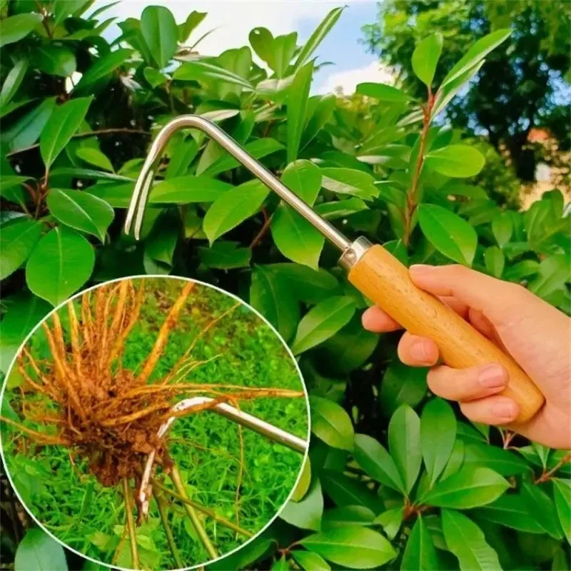 الفولاذ المقاوم للصدأ البستنة  - مراجعة Weed Puller وسعره