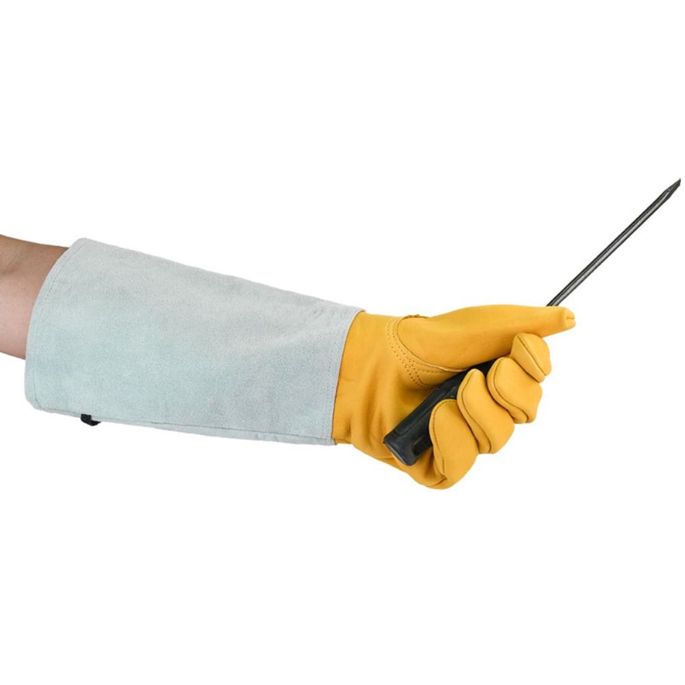 قفازات حدائق طويلة الأكمام مقا - مراجعة Garden Gloves Thorn Proof وسعره