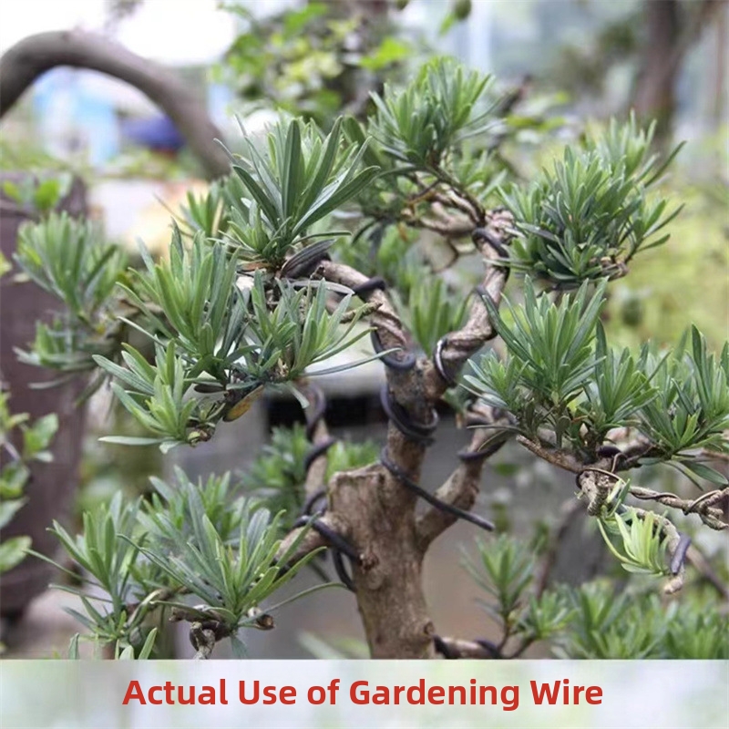 أسلاك بونساي من الألومنيوم بسم - مراجعة Gardening Tools For Home وسعره