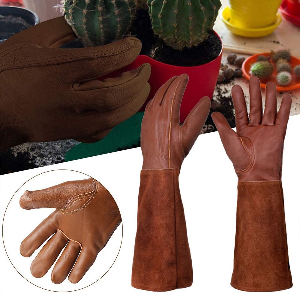 قفازات سلامة عمل البستنة ، أنب - مراجعة Garden Gloves Thorn Proof وسعره