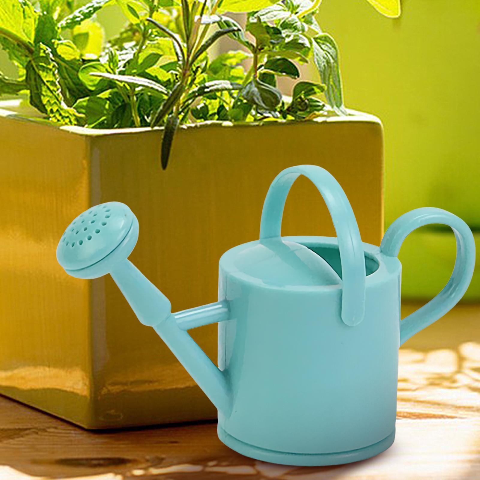 إبريق سقي صغير للأطفال، أداة س - مراجعة Gardening Tools Toddler وسعره